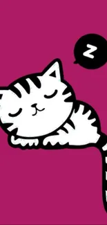 Cute cartoon sleeping cat on magenta background.