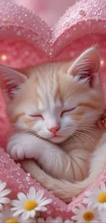 Cute sleeping kitten in pink heart with daisies.