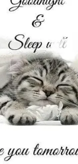 Cute sleeping kitten with sleep well message.