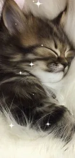 Cute kitten sleeping in fluffy white fur background.