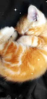 Adorable orange kitten sleeping peacefully on black fabric.