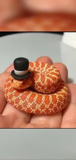 Adorable orange snake with a tiny top hat resting on a hand.