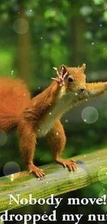 Squirrel poses on a fence with a humorous caption in a forest setting.