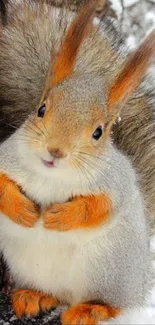 Cute squirrel on snowy branch, vibrant winter scene.