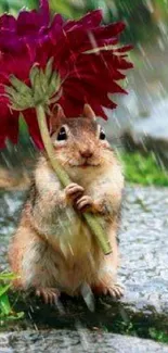 Squirrel holding magenta flower in rain on stone path.