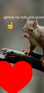 Cute squirrel with a red heart on a branch background.