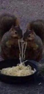 Two squirrels adorably sharing spaghetti in a unique, nature-themed wallpaper.