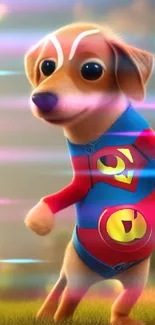 Cute dog in superhero costume on grass.