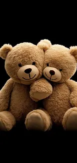Two cuddly teddy bears on a black background.