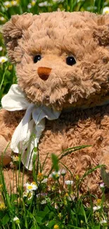 Teddy bear sitting in a grassy field with white flowers.