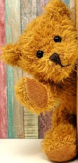 Fluffy brown teddy bear with wooden rustic background.