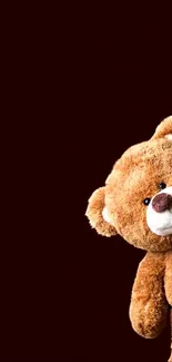 Fluffy brown teddy bear on dark brown background.