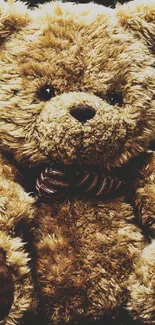 Adorable teddy bear sitting outdoors on a sunny day.