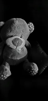 Black and white teddy bear with pillow on dark background.