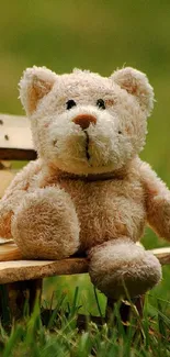 Cute teddy bear sitting on a wooden bench in a natural outdoor setting.