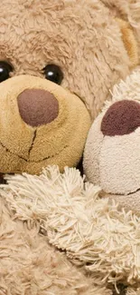 Cute teddy bears embracing in a warm, plush setting.