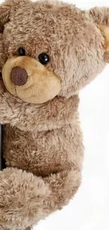 Adorable teddy bear wallpaper for mobile.