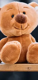 Cute teddy bear sitting on shelf.