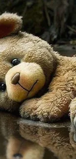 Cute teddy bear lying down reflecting in a puddle.