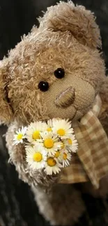 Adorable teddy bear holding daisies on a wooden backdrop.