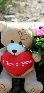 Teddy bear with red heart and flowers outdoors.