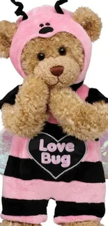 Cute teddy bear in pink love bug costume with heart antenna.