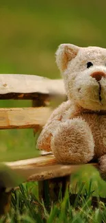 Teddy bear sitting on a wooden bench in a grassy field.