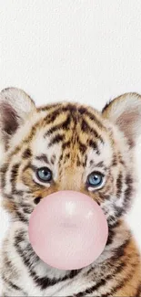 Cute tiger cub blowing a pink bubblegum on a white background.