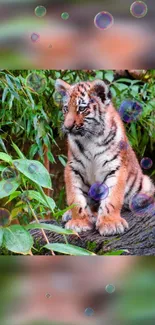 Adorable tiger cub amidst lush greenery with bubbles.