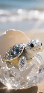 Baby turtle hatching on sandy beach