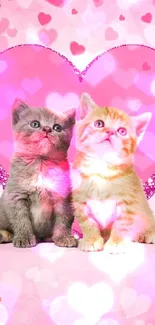 Two cute kittens with pink hearts background.