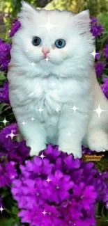 A cute white kitten among purple flowers.