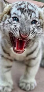 Adorable white tiger cub roaring with open mouth on a mobile wallpaper.