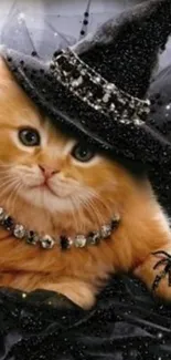 Adorable kitten in witch hat with glamour beads and black sparkly backdrop.