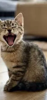 Adorable yawning kitten on a wooden floor.