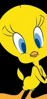 Cute yellow cartoon bird on a black background wallpaper.