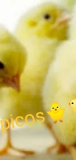 Mobile wallpaper with cute, fluffy yellow chicks standing together.