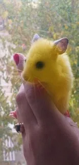 Yellow mouse held gently outdoors with nature background.