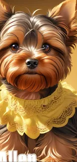 Yorkshire Terrier with a fluffy coat and yellow collar on a warm background.