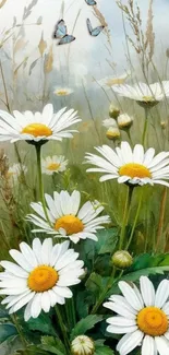 Daisies with butterflies in a serene nature scene.