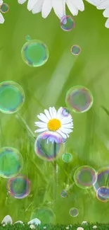 Green mobile wallpaper with daisy and bubbles.