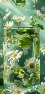 Glass with daisies and mint leaves floating in water.