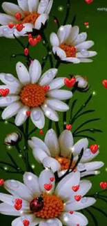 Mobile wallpaper with white daisies on a green background.