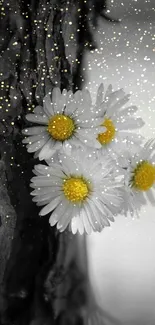 Daisy flowers blooming on rugged tree bark in grayscale design.