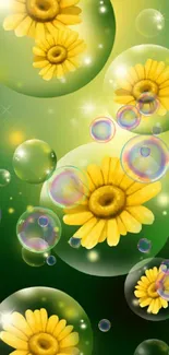 Yellow daisies enclosed in bubbles on a green background.