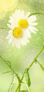 Mobile wallpaper of daisies forming a heart with green background.