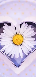 Daisy nestled in heart-shaped form on lavender wallpaper.