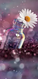 Daisy in a glass vase with a purple bokeh background.