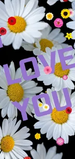 Romantic daisy wallpaper with 'I Love You' text.