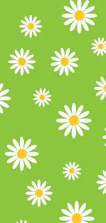 Green wallpaper with white and yellow daisies.